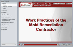 Work Practices of the Mold Remediation Contractor